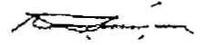 Signature of the President of the Senate Pro Tempore